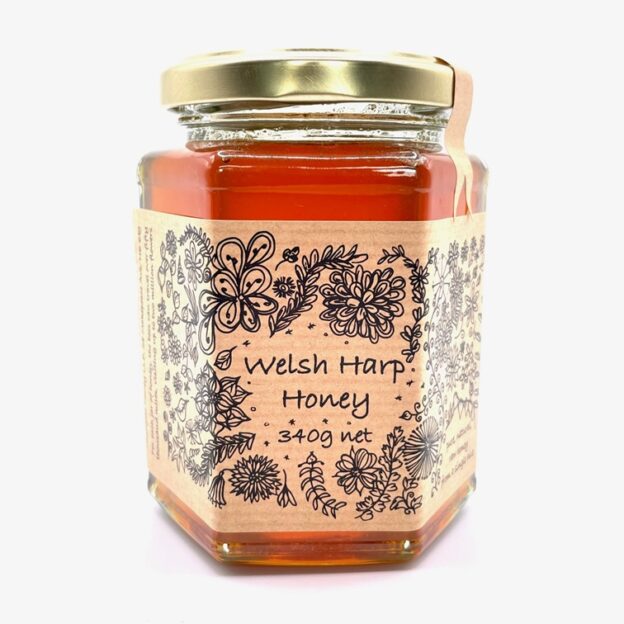 Belgravia Belt - Honey main image 0