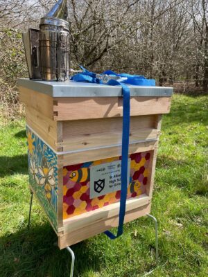 Hive sponsorship (1 year)