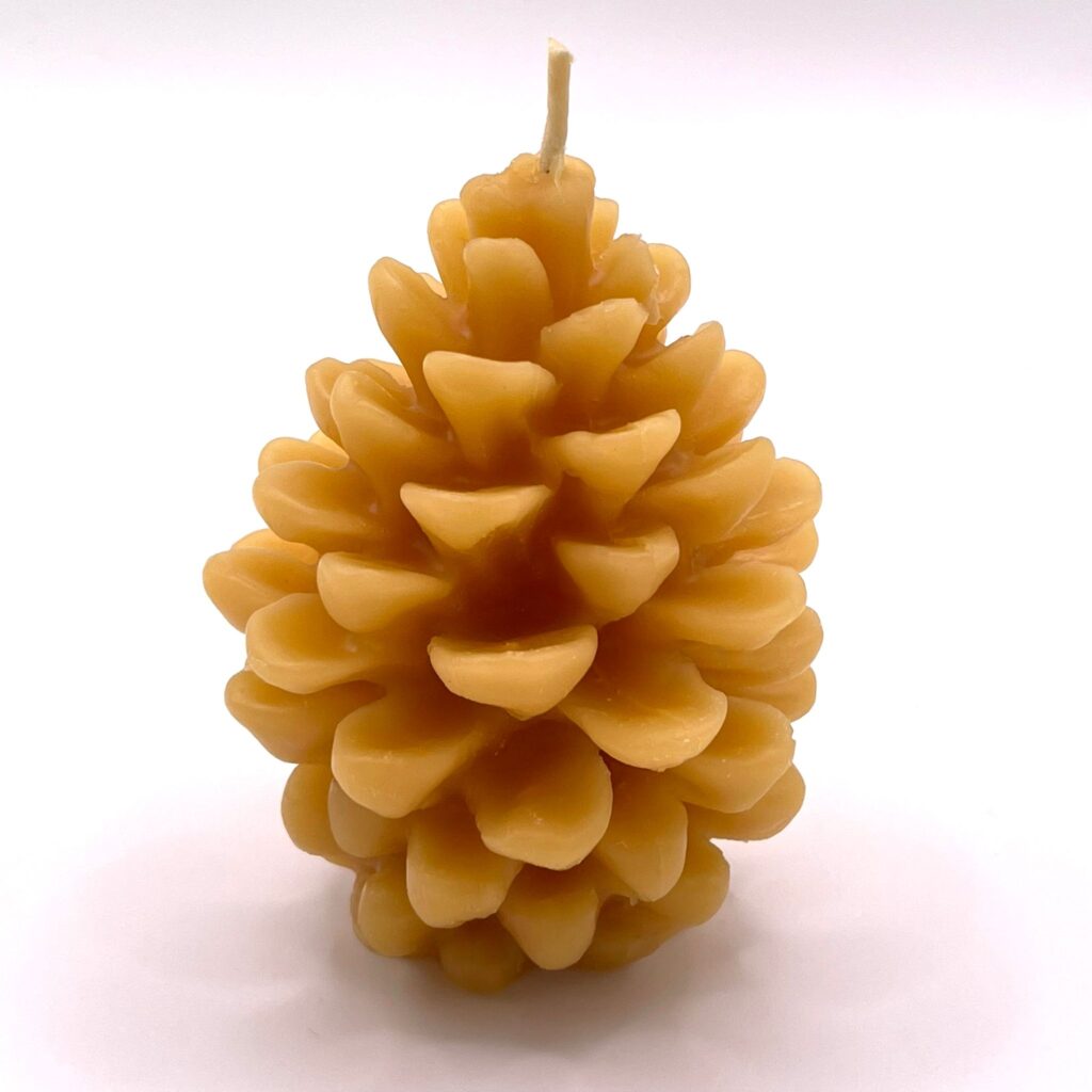Pine cone candle